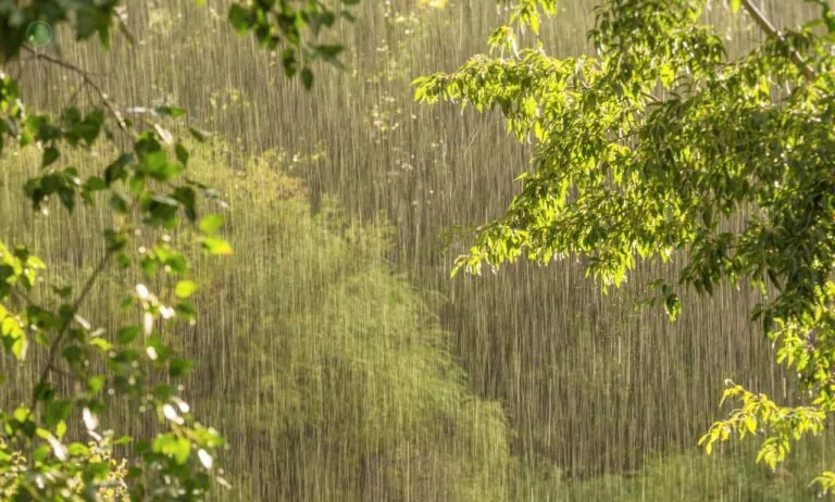 Intensywne opady deszczu także na Pomorzu (FOTO: canva)
