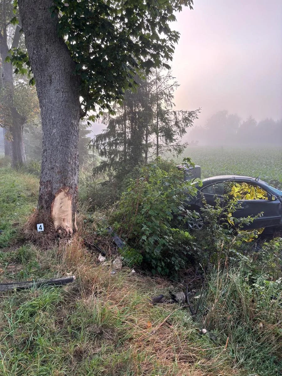 Tragedie młodych kierowców na Pomorzu. Wypadki dzień po dniu (FOTO: KPP Malbork)