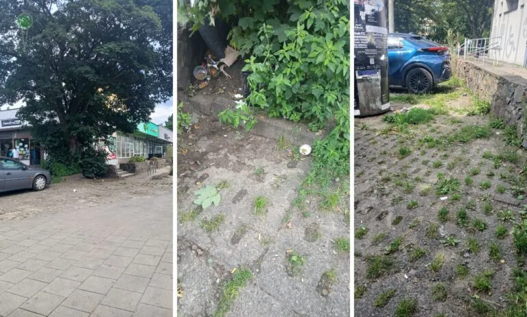 Stogi dzielnicą II kategorii? Czytelnik: zadbajcie o otoczenie (FOTO: Jacek/Czytelnik wbijamszpile.pl)