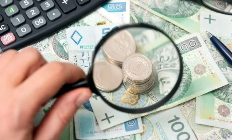 Milionerzy z Gdańska. Oto jak zarabiają ludzie Platformy (FOTO: canva)