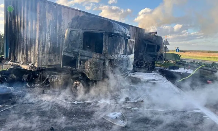 Tragiczny wypadek na A1. Spłonął bus po zderzeniu z ciężarówkami (FOTO: Straż Pożarna)