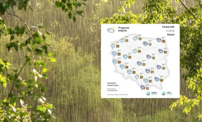 Silny wiatr na północy. IMGW ostrzega Pomorze i Warmię (FOTO: canva/IMGW)