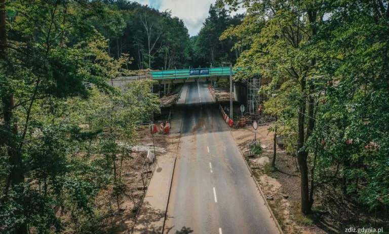 Zamknięcie ulicy Witomińskiej w Gdyni (FOTO: ZDiZ Gdynia)