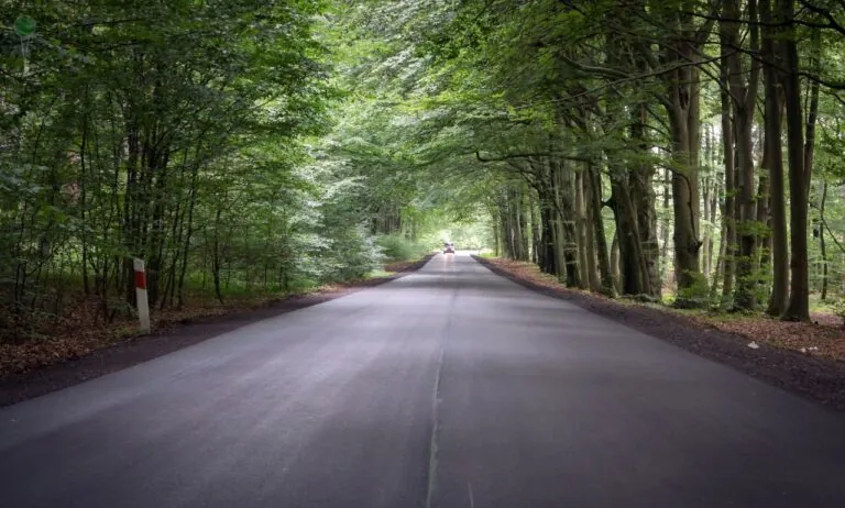 Nadwiślański Korytarz Transportowy. Parlamentarzyści dla drogi 55 (FOTO: canva)
