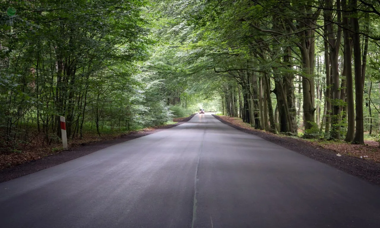 Nadwiślański Korytarz Transportowy. Parlamentarzyści dla drogi 55 (FOTO: canva)