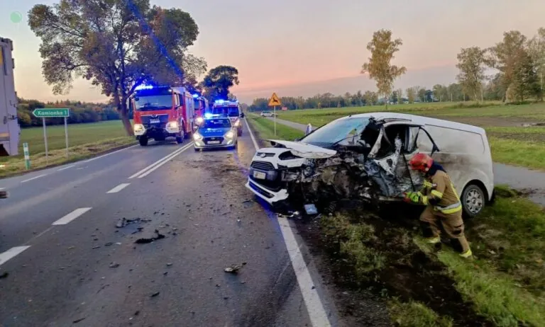 Czołowe zderzenie ciężarówki i autem osobowym pod Malborkiem (FOTO: KP PSP Malbork)