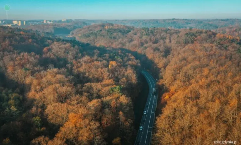 Gdynia: Kielecka jednokierunkowa przez pół roku (FOTO: Marcin Mielewski, ZDiZ Gdynia)