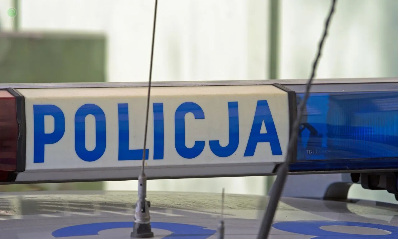 Przechlewo: pijany kierowca spowodował kolizję. To miał być wójt (FOTO: canva)