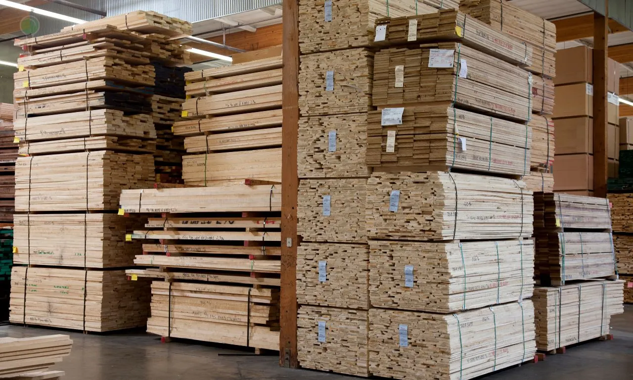 Pomorskie firmy podejrzane o obchodzenie sankcji na drewno (FOTO: canva)