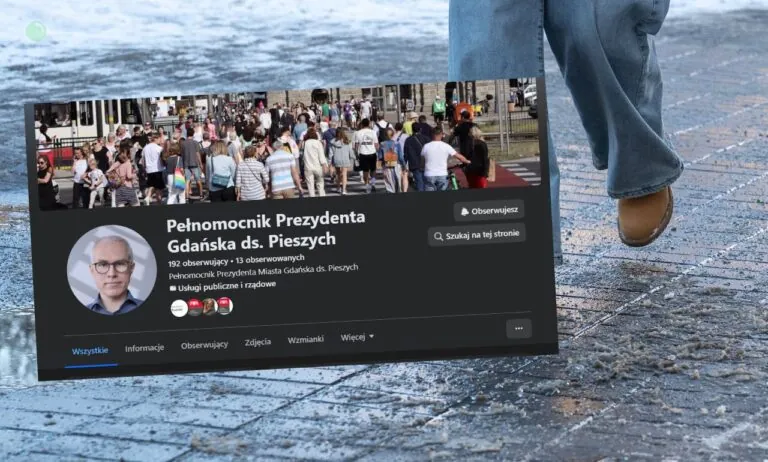 Co robi pełnomocnik ds. pieszych? Gdańsk: nie walczy ze skutkami zimy (FOTO: canva/FB)