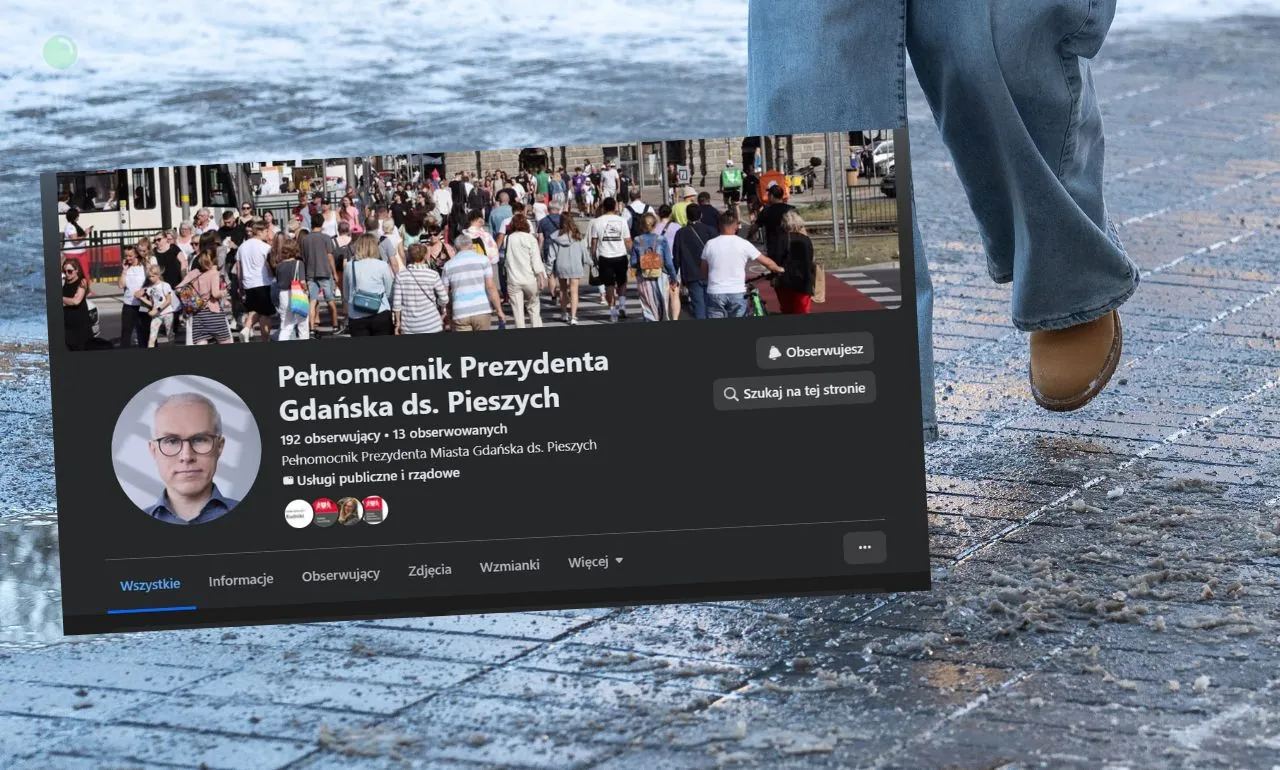 Co robi pełnomocnik ds. pieszych? Gdańsk: nie walczy ze skutkami zimy (FOTO: canva/FB)