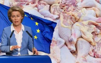 Podpisanie umowy Mercosur. Dramat nie tylko dla rolników z Polski (FOTO: canva)