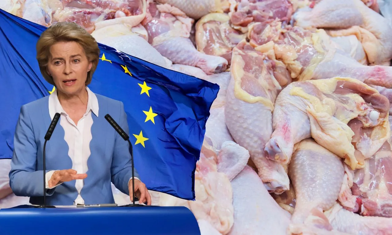 Podpisanie umowy Mercosur. Dramat nie tylko dla rolników z Polski (FOTO: canva)