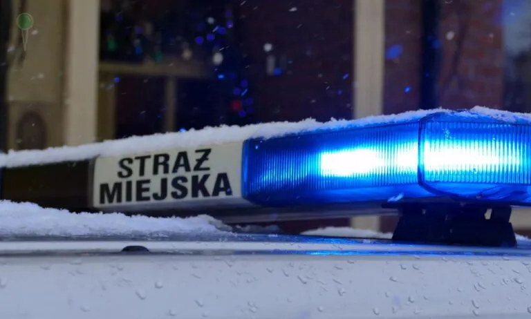 Mandaty za brak odśnieżania w Gdańsku - ile i gdzie nałożono (FOTO: Straż Miejska w Gdańsku)