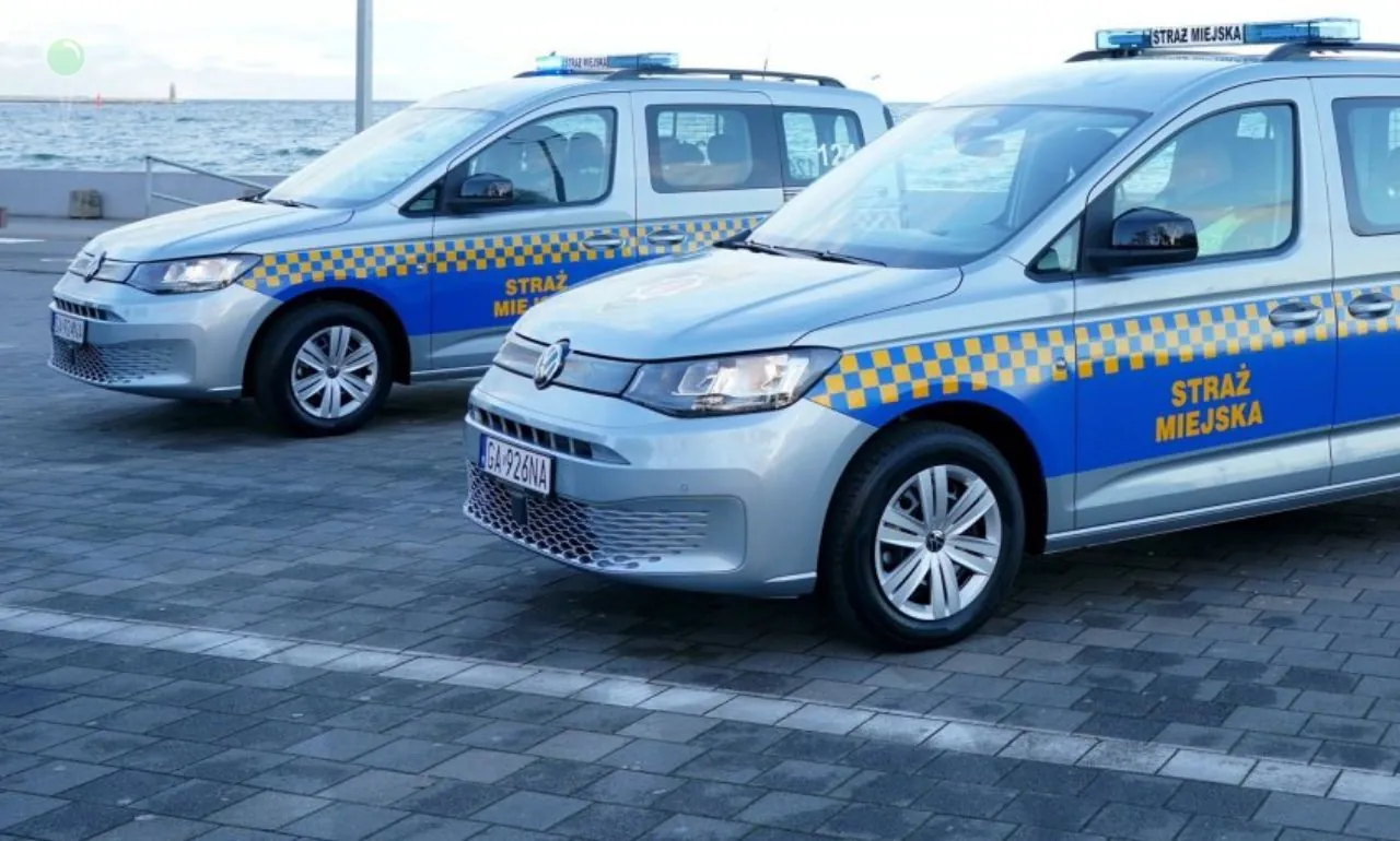 Ponad 300 pouczeń mieszkańców ws. odśnieżania w Gdyni (FOTO: Magdalena Czarnek/gdynia.pl)