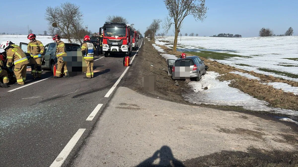 Wypadek na trasie Otłowiec - Gardeja pod Kwidzynem (FOTO: KPP Kwidzyn)