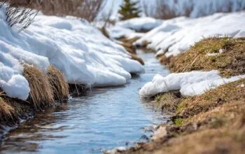 Susza w Polsce odwołana? Zima 2026 może odmienić wszystko (FOTO: canva)