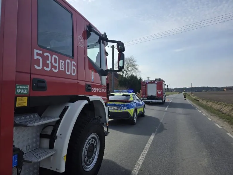 45-latka zasłabła za kierownicą. Auto wjechało w altanę (FOTO: KPP Sztum)