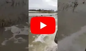 Miniatura filmu: Podtopione pola pod Gdańskiem