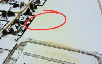 Osadzający się pył na posesji w sąsiedztwie zakładu przy ul. Oliwskiej 48H – zdjęcie czytelnika. (FOTO: czytelnik wbijamszpile.pl)