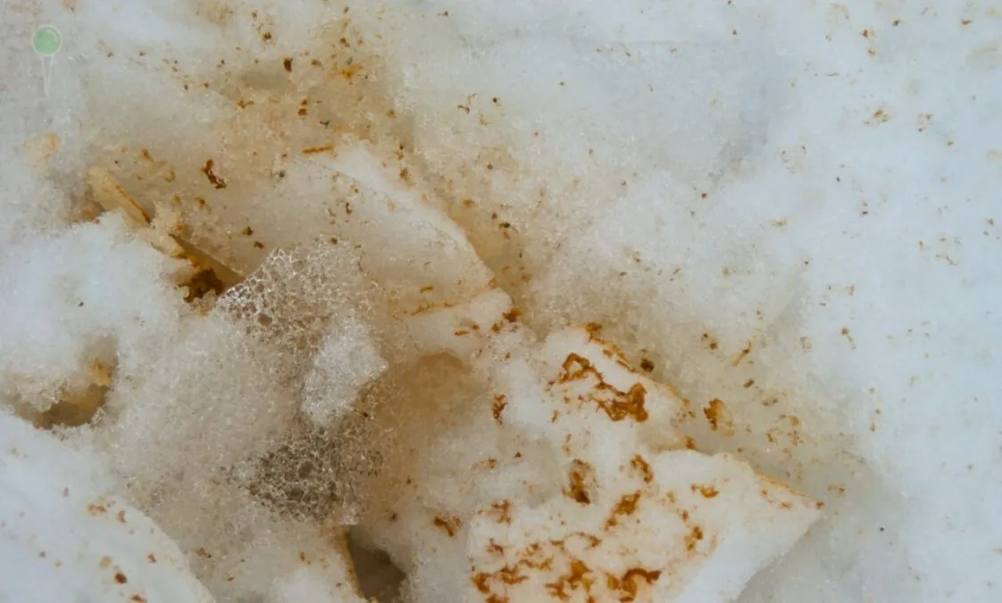 Osadzający się pył na posesji w sąsiedztwie zakładu przy ul. Oliwskiej 48H.(FOTO: czytelnik wbijamszpile.pl)