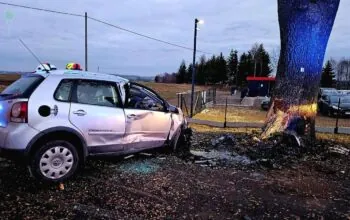 Wypadek w Starej Kiszewie. Nie żyje kierowca (FOTO: Straż Pożarna)