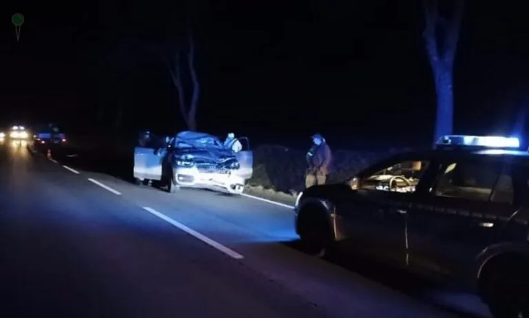Łoś wbiegł na jezdnię pod Kwidzynem. Auto zniszczone (FOTO: KPP Kwidzyn)
