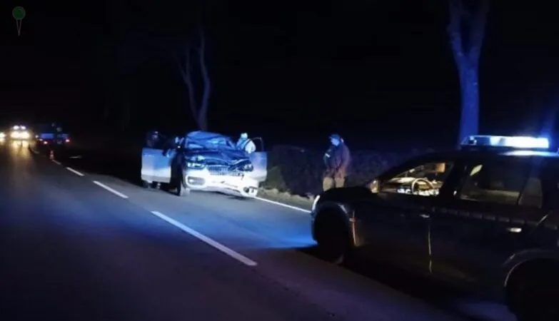 Łoś wbiegł na jezdnię pod Kwidzynem. Auto zniszczone (FOTO: KPP Kwidzyn)