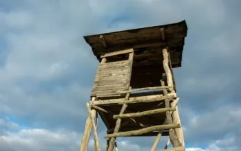 Zatrzymany myśliwy po tragedii w Granicznej Wsi. Co wydarzyło się w lesie? (FOTO: canva)