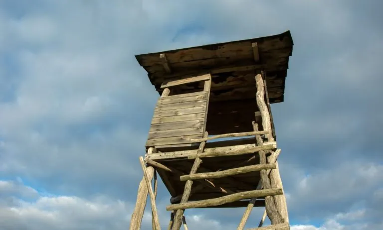 Zatrzymany myśliwy po tragedii w Granicznej Wsi. Co wydarzyło się w lesie? (FOTO: canva)