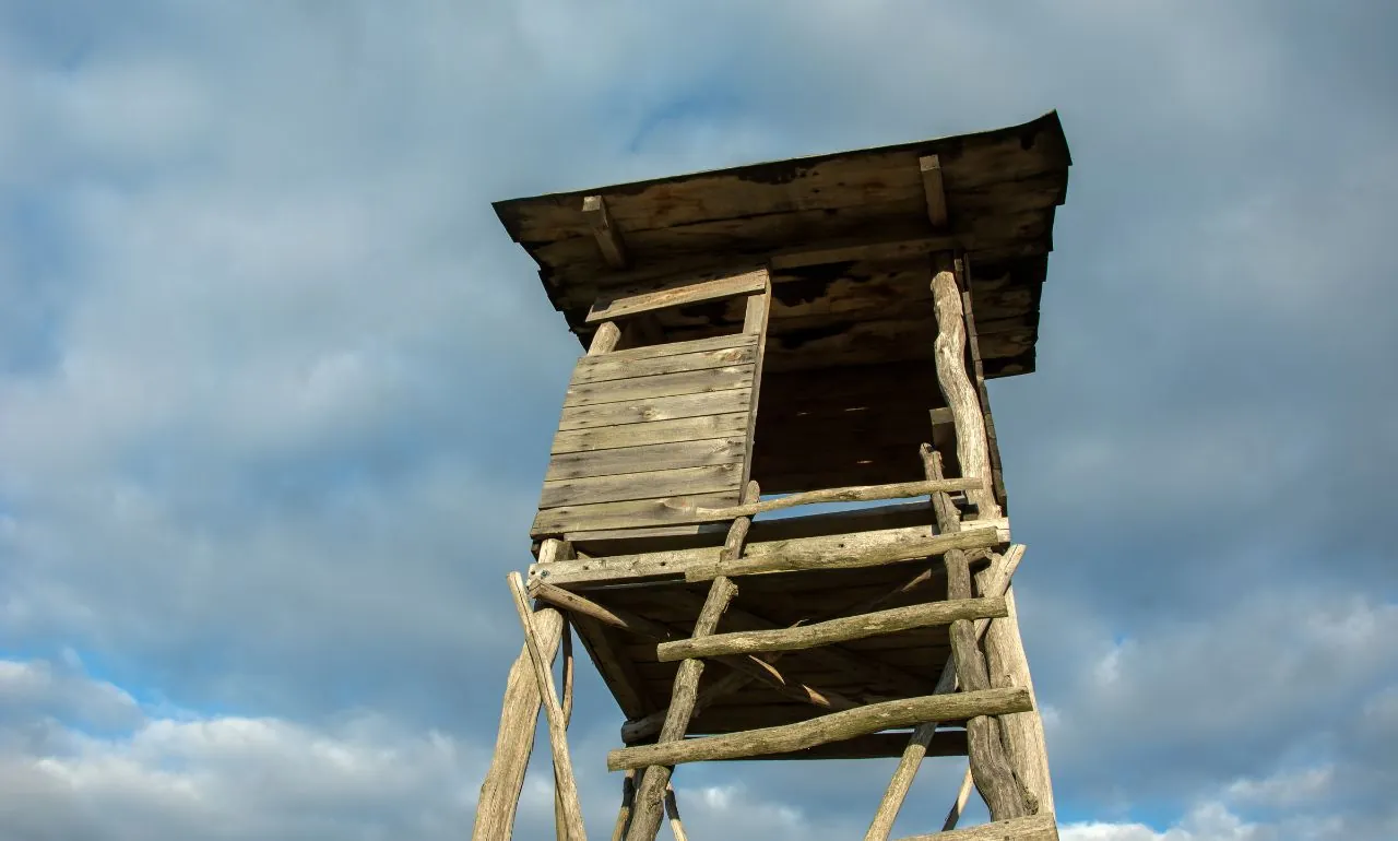 Zatrzymany myśliwy po tragedii w Granicznej Wsi. Co wydarzyło się w lesie? (FOTO: canva)