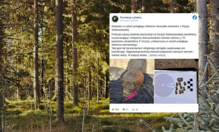 Różaniec w ustach niemieckiego żołnierza. Szokujące odkrycie w lesie (FOTO: canva/FB)