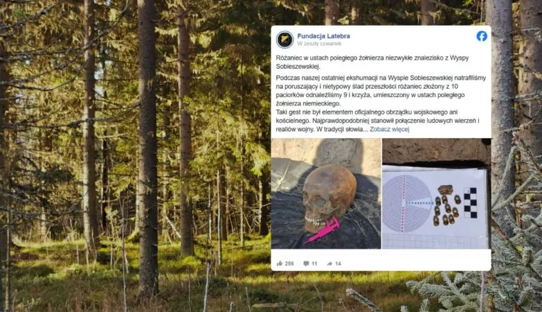 Różaniec w ustach niemieckiego żołnierza. Szokujące odkrycie w lesie (FOTO: canva/FB)