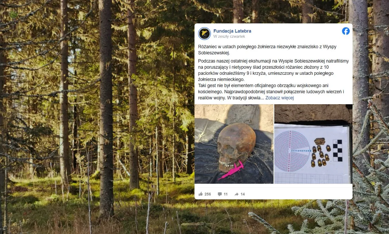 Różaniec w ustach niemieckiego żołnierza. Szokujące odkrycie w lesie (FOTO: canva/FB)