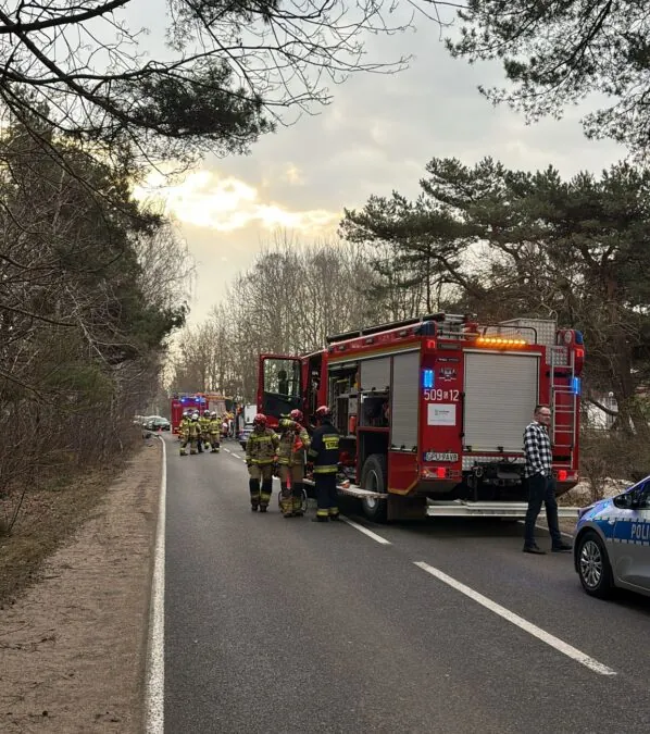 Wypadek w Chałupach. Nie żyje jedna osoba (FOTO: Straż Pożarna)