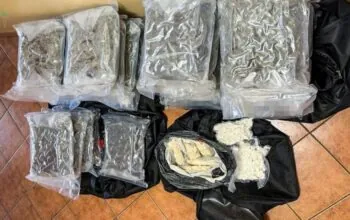 Narkotykowy magazyn w Chojnicach. 30 kg marihuany nie trafi na ulice (FOTO: KWP Gdańsk)