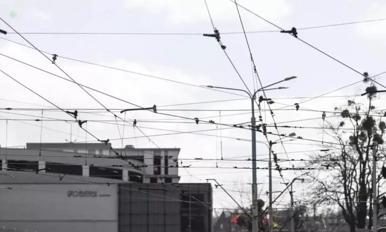 Tramwaje w centrum Gdańska zmienią trasy. Pasażerowie pójdą pieszo (FOTO: Grzegorz Mehring/gdansk.pl)