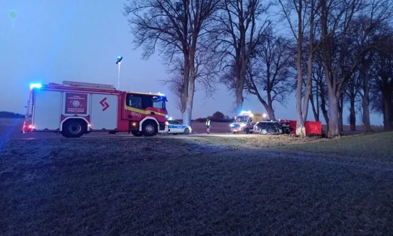 Tragiczny poranek w Udorpiu i Żelistrzewie. Nie żyją kierowcy (FOTO: KWP PSP Gdańsk)