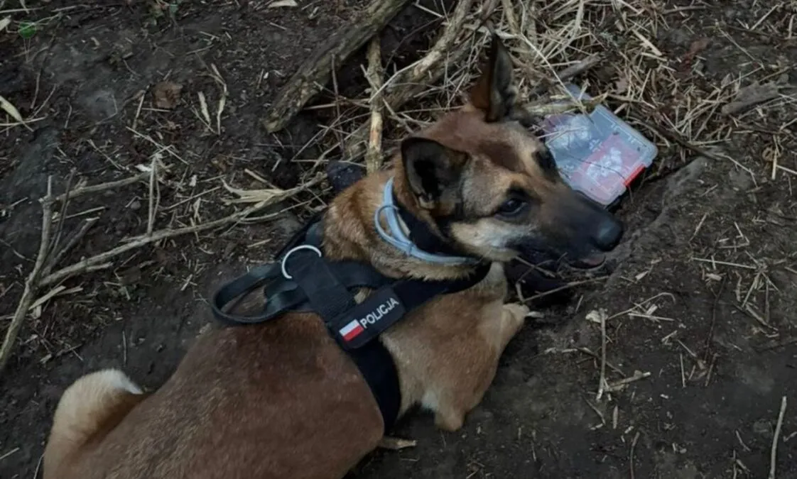Zatrzymanie 34-latka na Oruni. Ponad 208 porcji narkotyków w walizce (FOTO: canva)