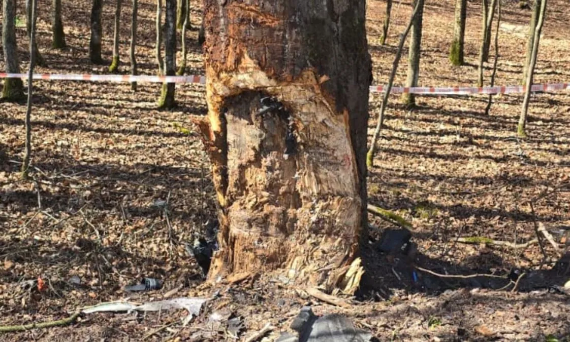 Śmiertelny wypadek pod Nową Karczmą. Nie żyje kierowca (FOTO: PSP Kościerzyna)