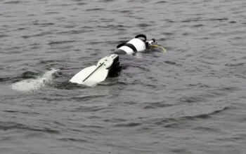 Tragedia na jeziorze na Kaszubach. Nie żyją dwie osoby. (FOTO: canva)