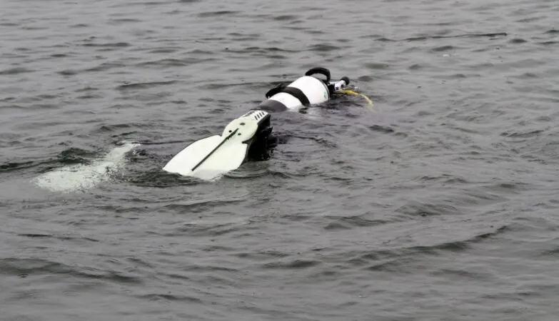 Tragedia na jeziorze na Kaszubach. Nie żyją dwie osoby. (FOTO: canva)