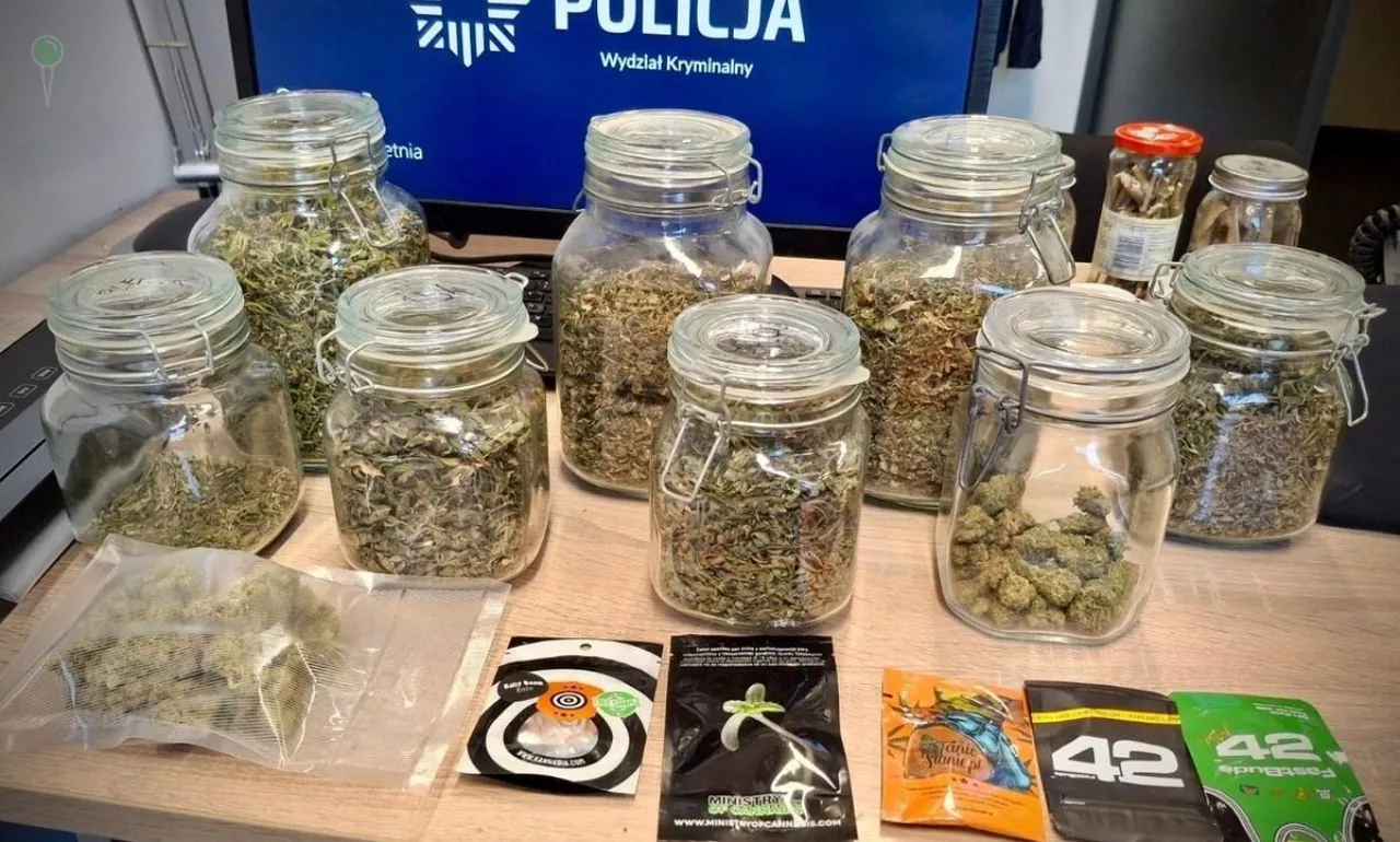 Kilkanaście słoików z marihuaną na Wyspie Spichrzów (FOTO: KMP Gdańsk)