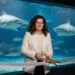 Tak to jest AI. Aleksandra Dulkiewicz obiecała oceanarium i powinna go już otwierać, a nic w sprawie inwestycji się nie dzieje.