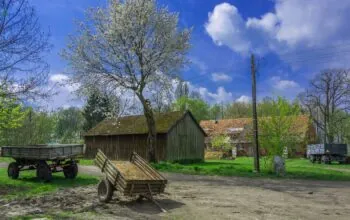 Koalicja Obywatelska zmieniła finansowanie samorządów, zyskała prowincja (FOTO: canva)