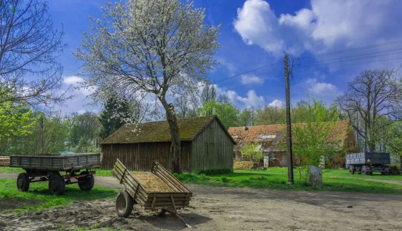 Koalicja Obywatelska zmieniła finansowanie samorządów, zyskała prowincja (FOTO: canva)