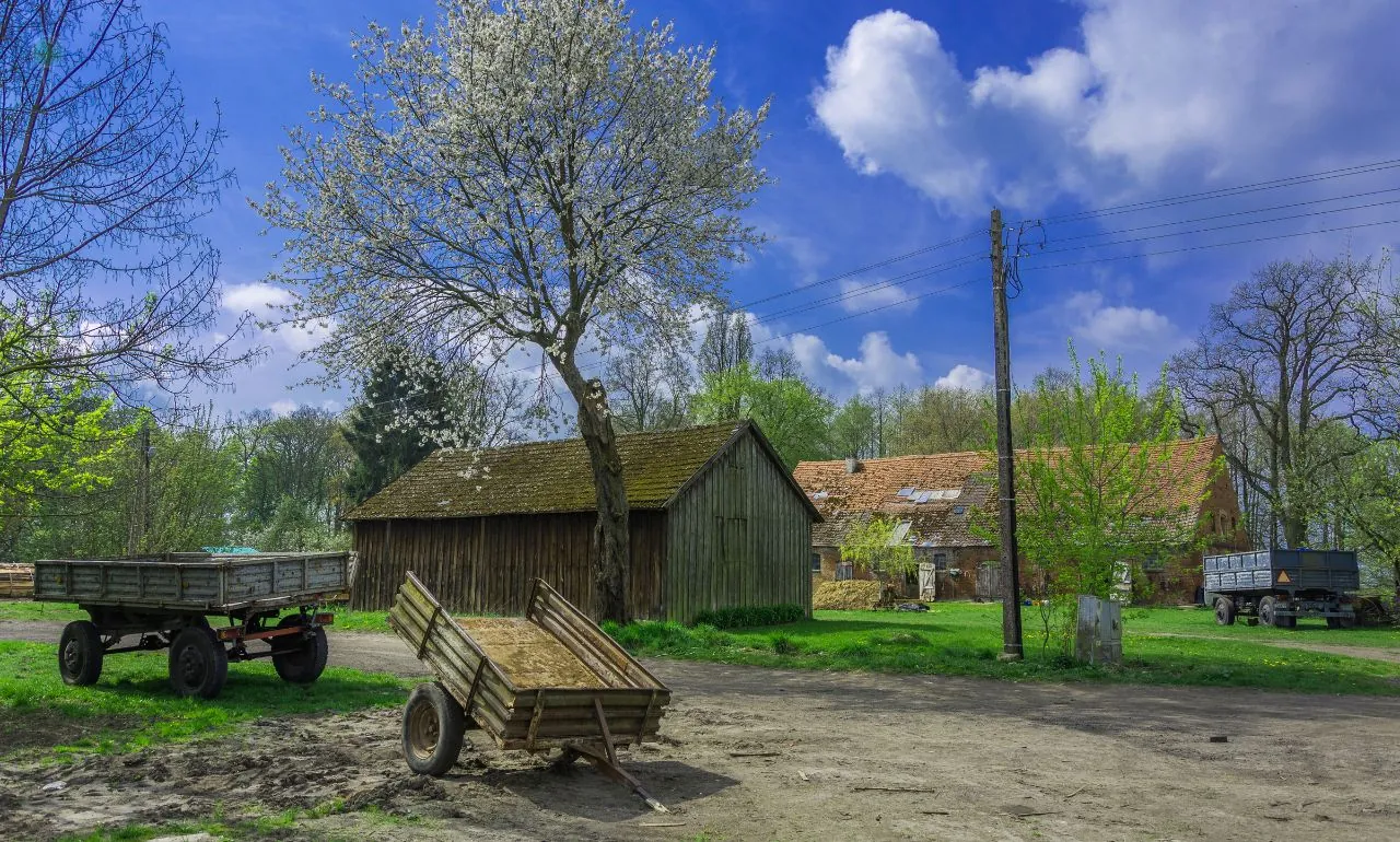 Koalicja Obywatelska zmieniła finansowanie samorządów, zyskała prowincja (FOTO: canva)