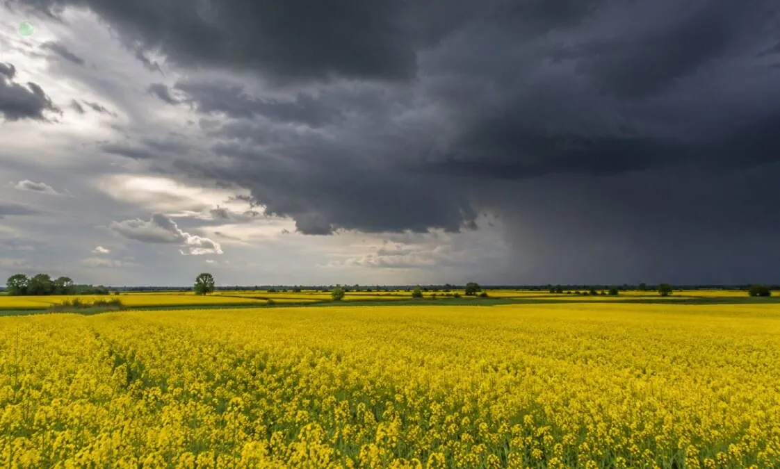 Ostrzeżenie IMGW dla Pomorskiego. Burze i silny wiatr (FOTO: wbijamszpile.pl)