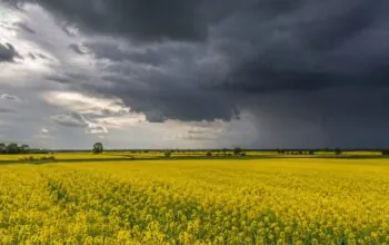 Ostrzeżenie IMGW dla Pomorskiego. Burze i silny wiatr (FOTO: wbijamszpile.pl)