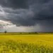 Ostrzeżenie IMGW dla Pomorskiego. Burze i silny wiatr